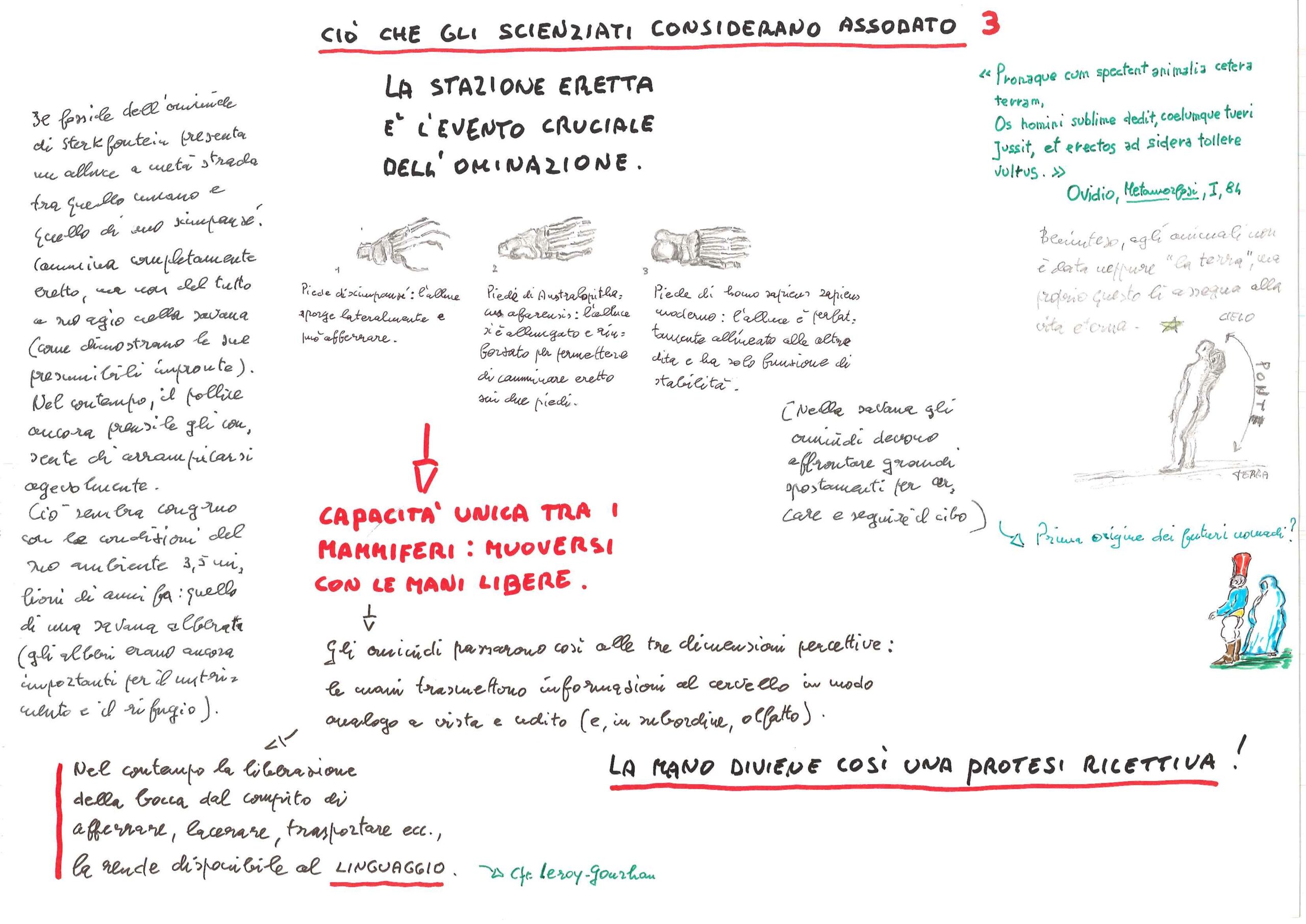 Ciò che gli scienziati considerano assodato 3