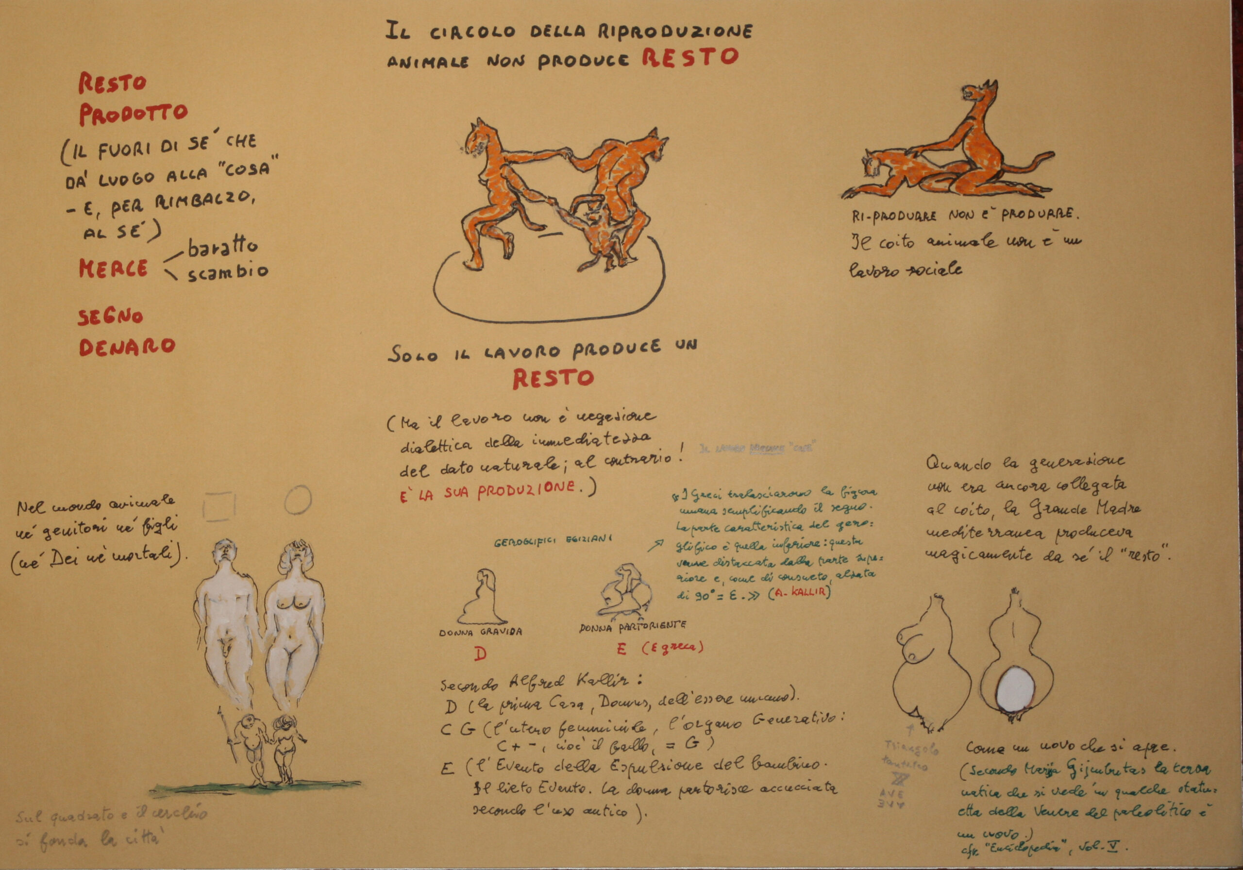 La riproduzione e il resto