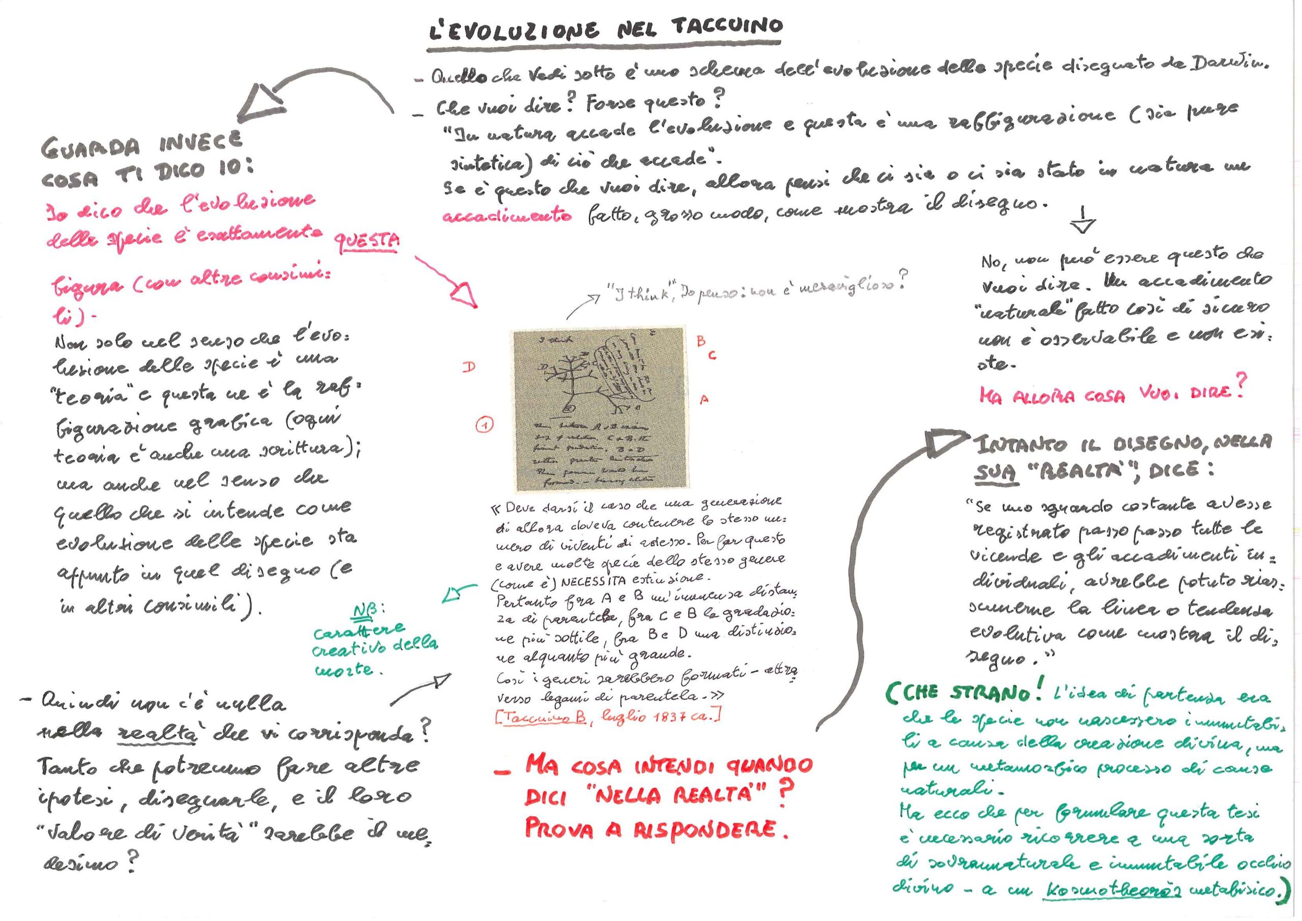 L’evoluzione nel taccuino