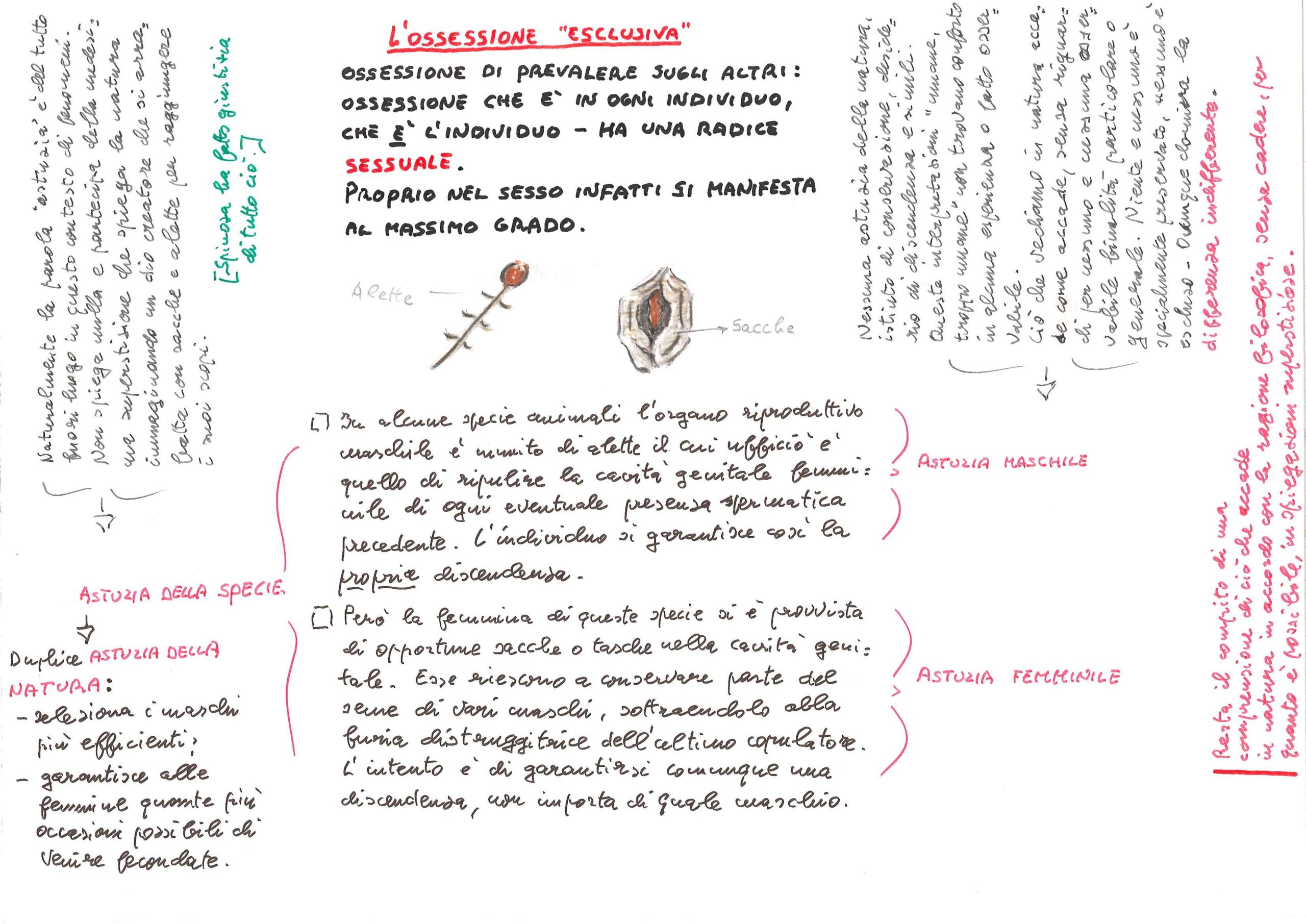L’ossessione “esclusiva”